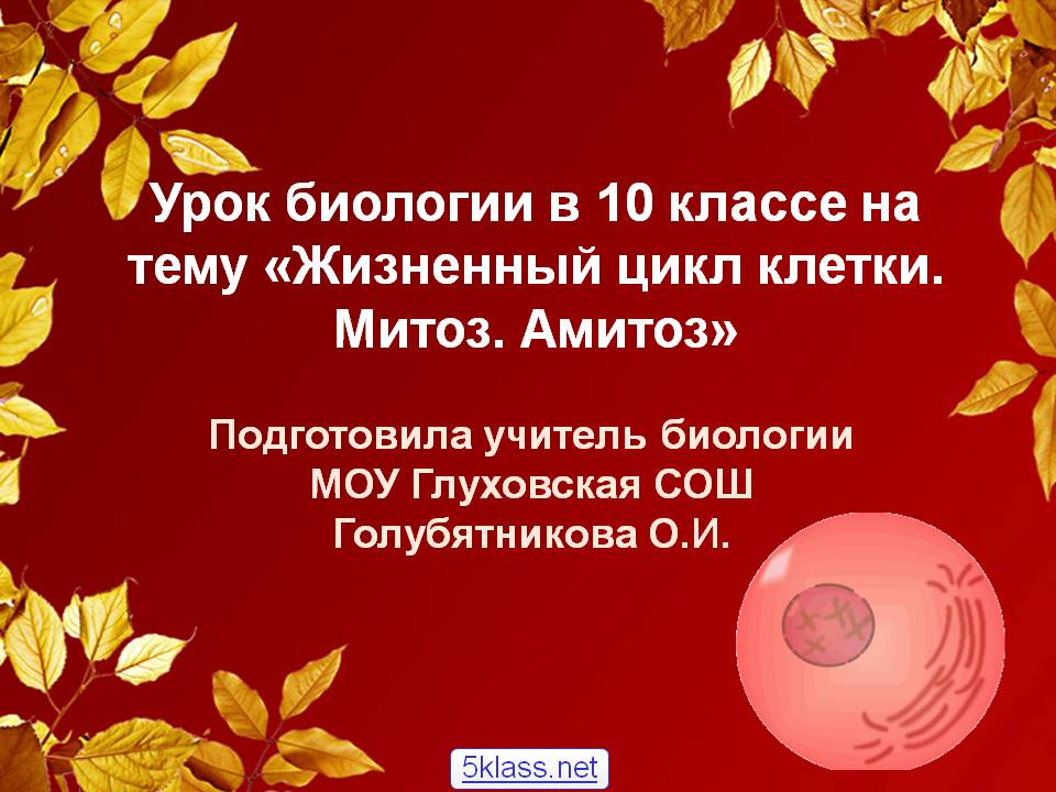 Жизненный цикл клетки
