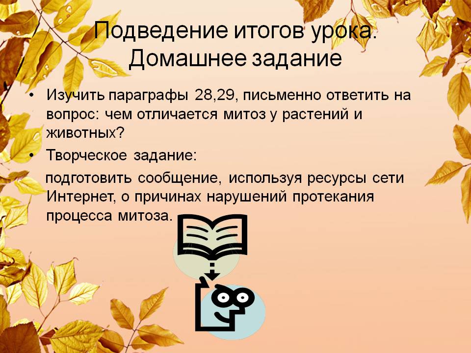 Домашнее задание