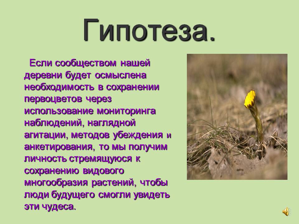 Гипотеза