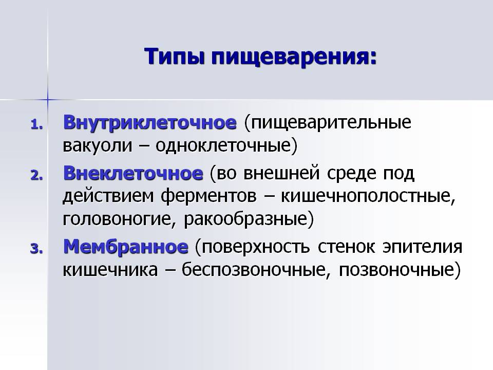 Типы пищеварения: