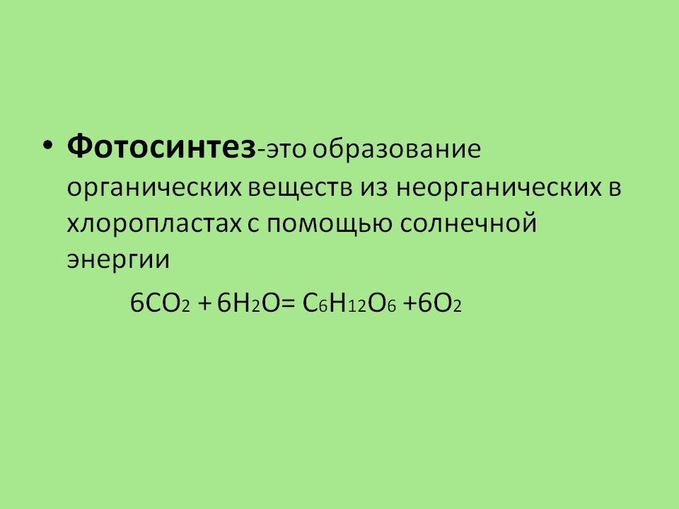 Фотосинтез