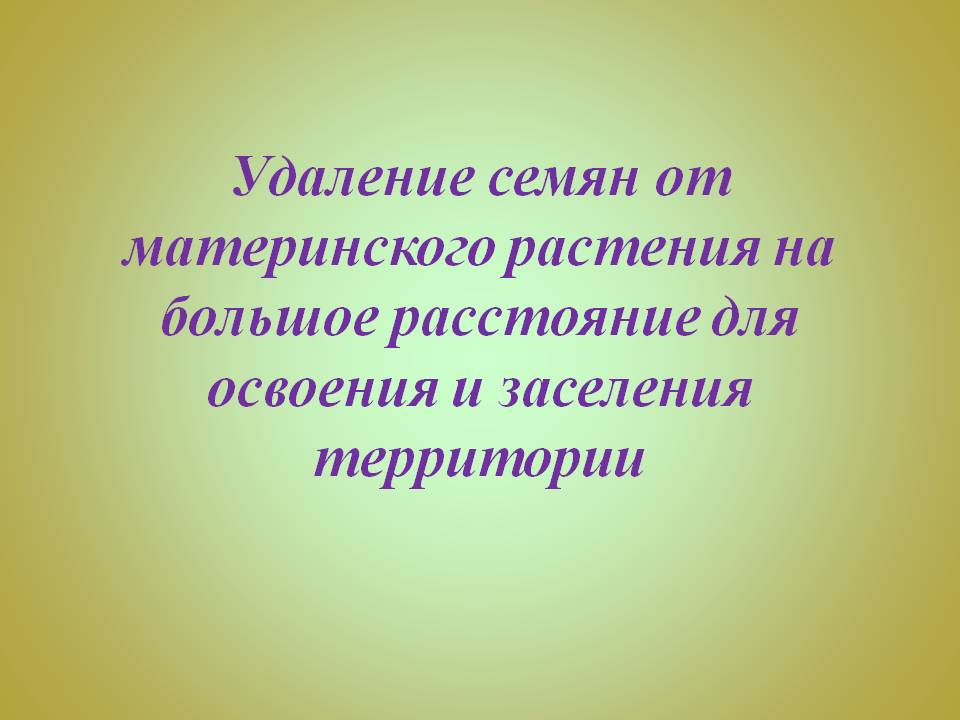 Удаление семян от материнского растения на большое расстояние