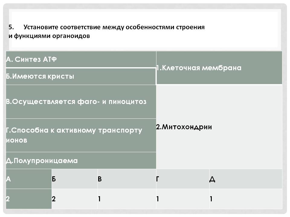 Установите соответствие
