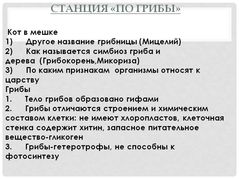 Станция «По грибы»