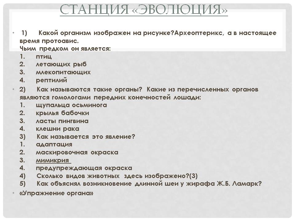Станция «Эволюция»