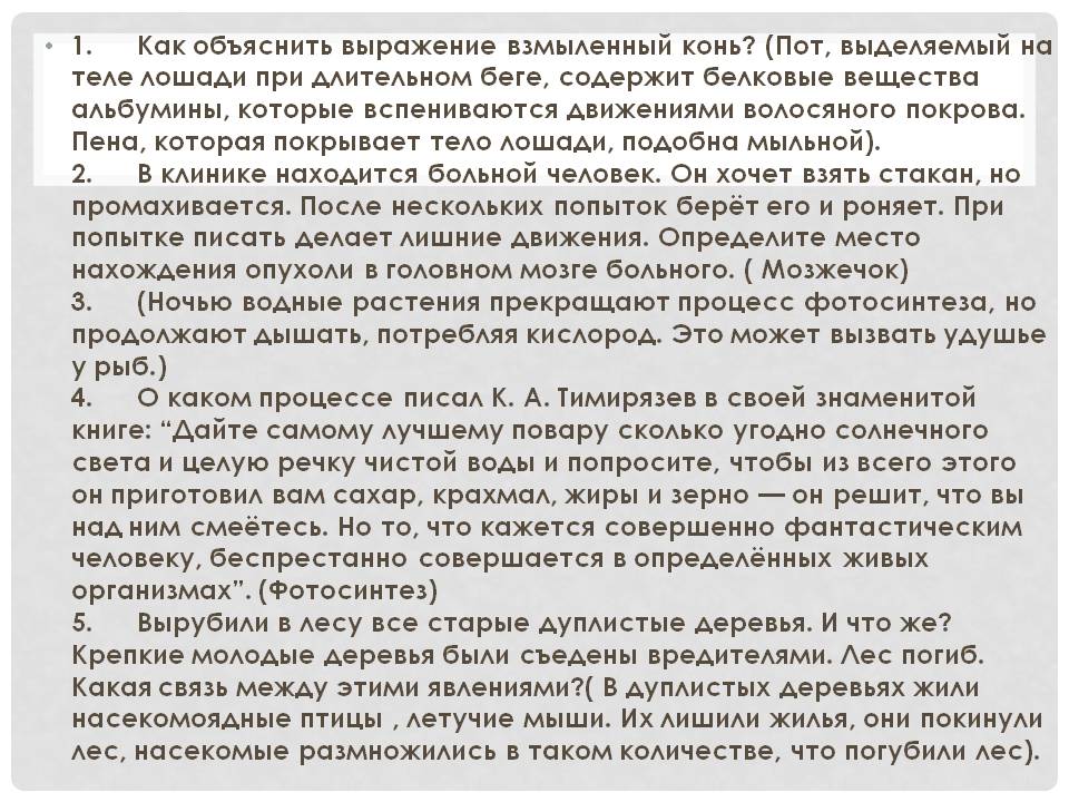 Взмыленный конь