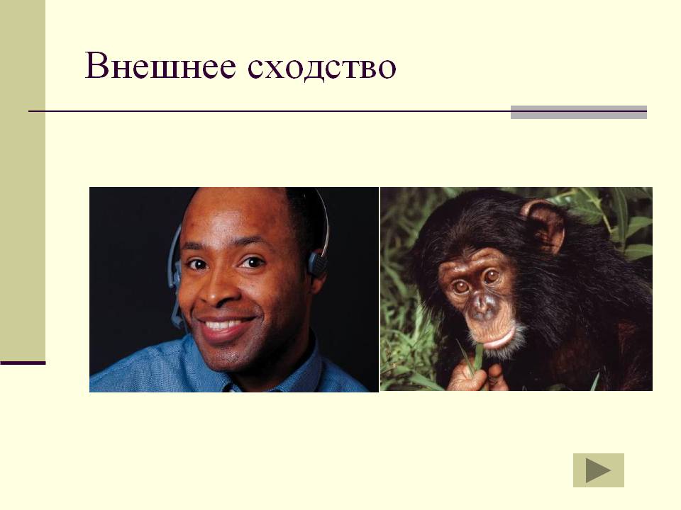 Внешнее сходство
