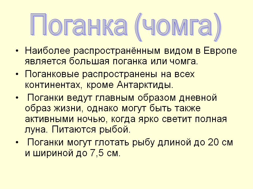 Поганковые распространены на всех континентах