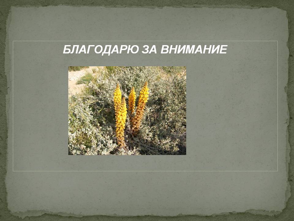 Благодарю за внимание