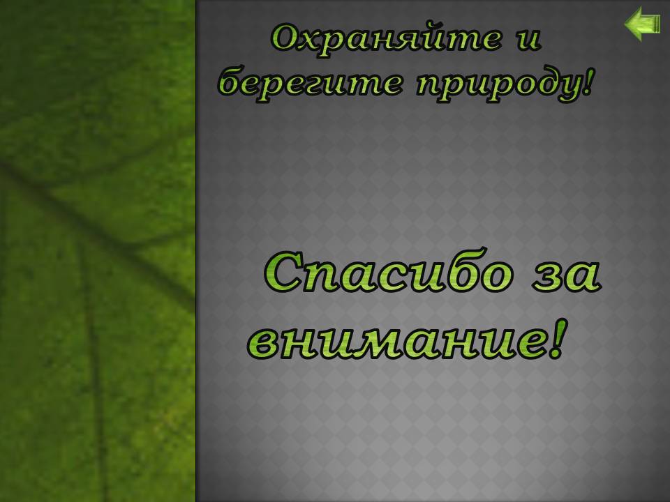 Охраняйте и берегите природу