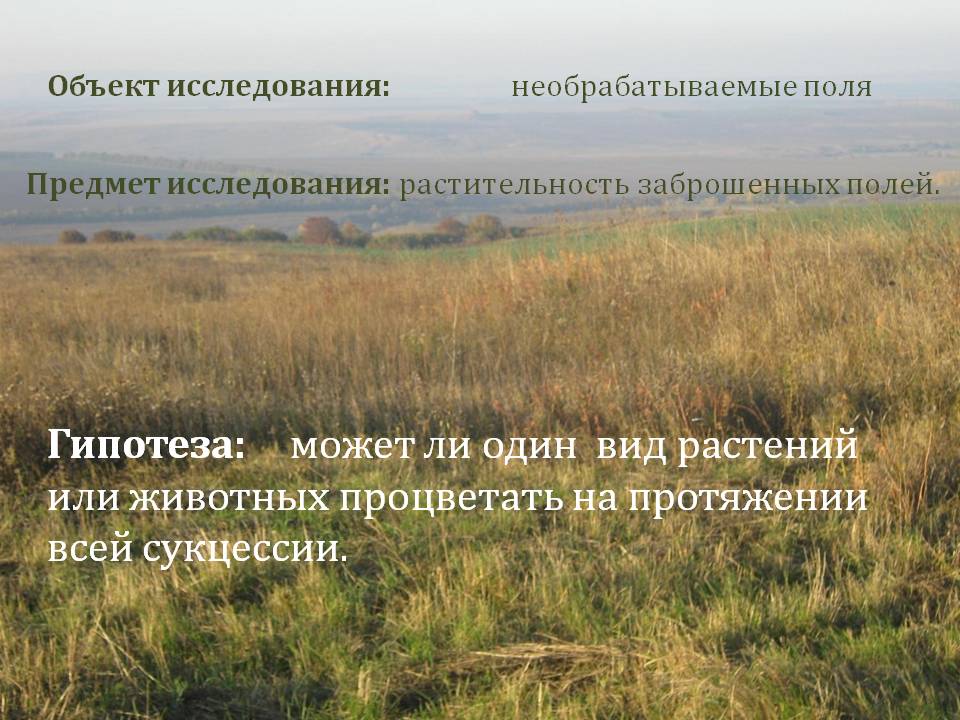Гипотеза