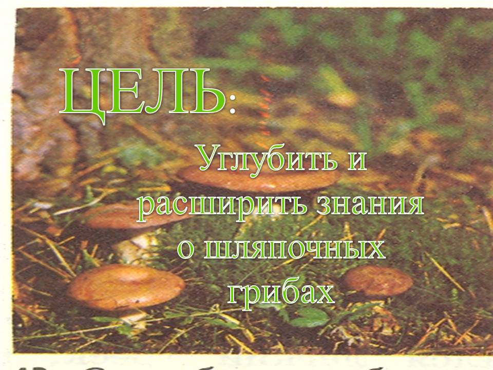 Цель: