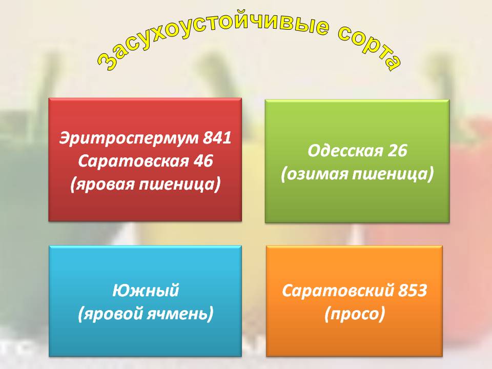 Засухоустойчивые сорта