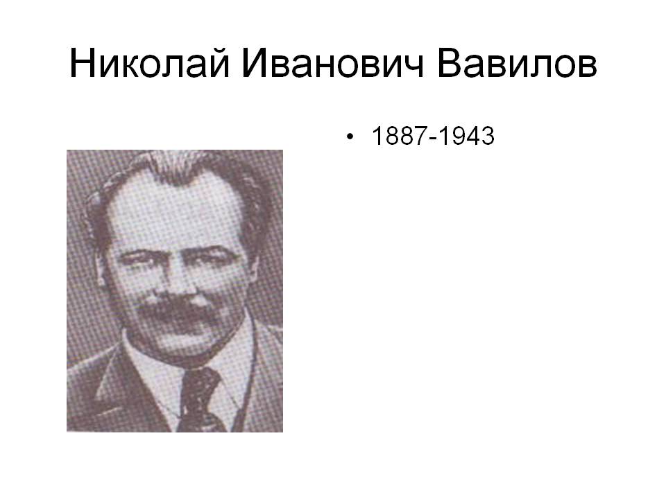 Николай Иванович Вавилов