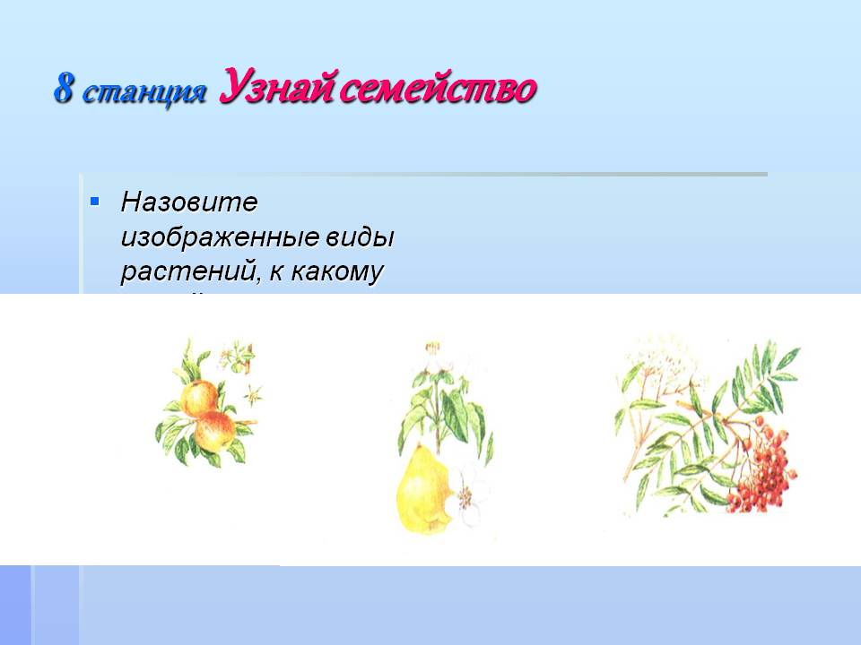 8 станция Узнай семейство
