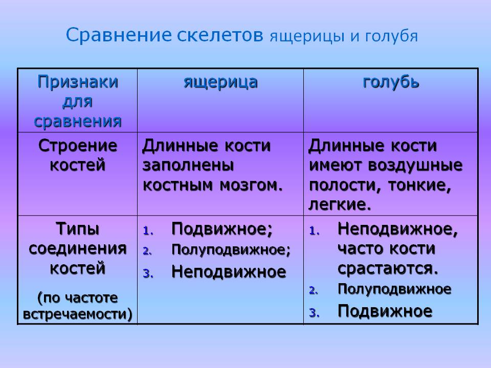 Сравнение скелетов ящерицы и голубя