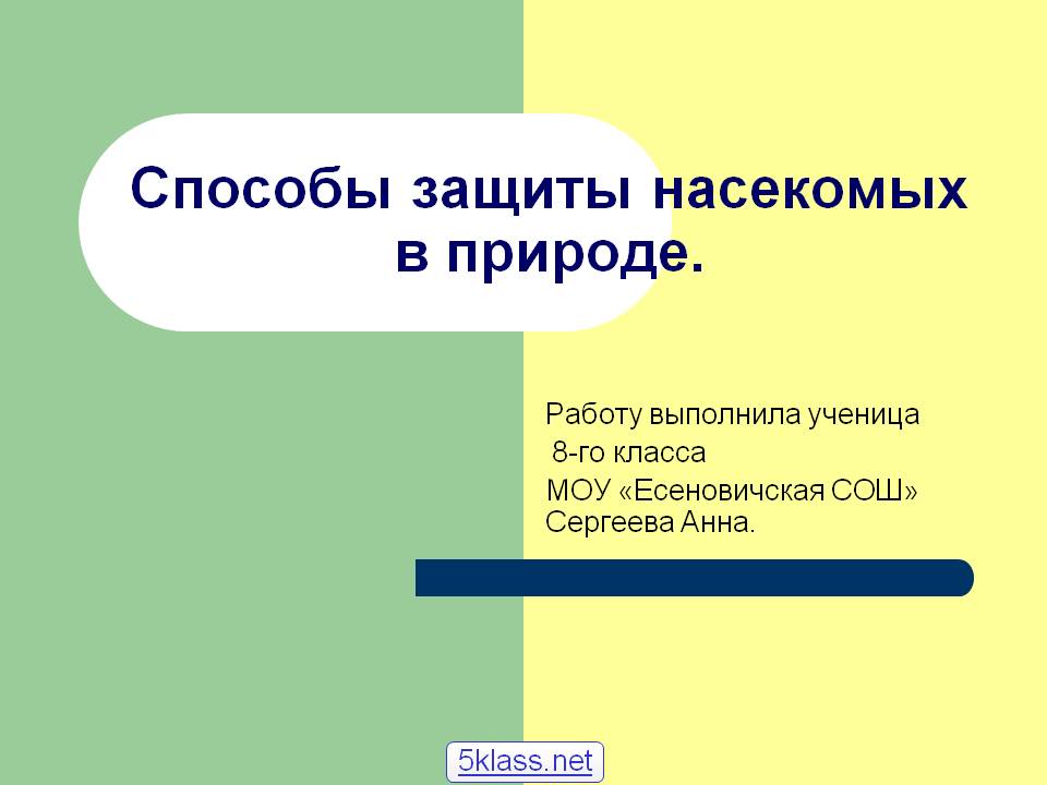 Способы защиты насекомых в природе