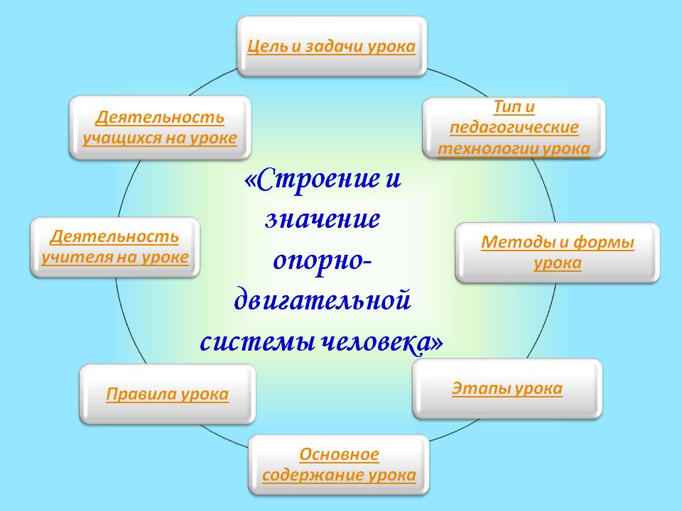 Строение и значение
