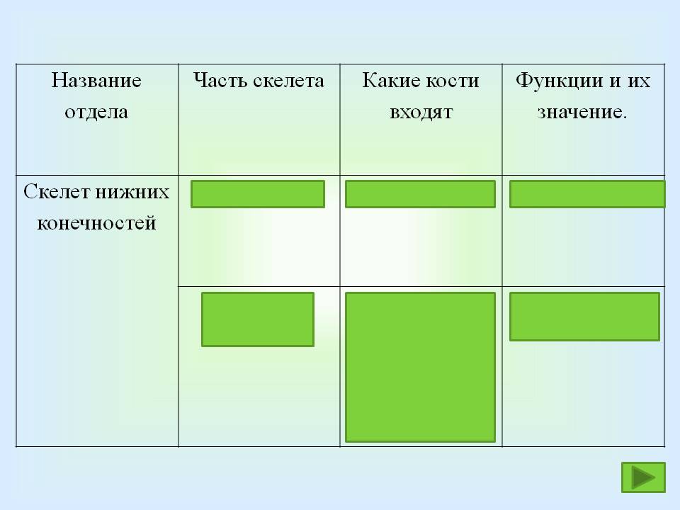 Функции и их значение
