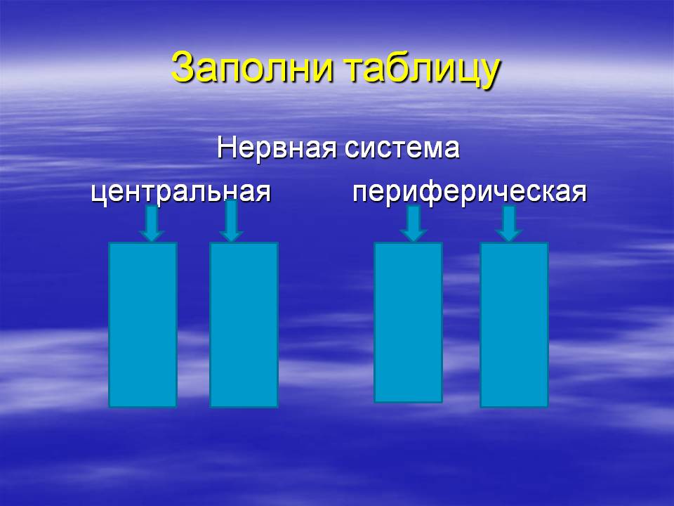 Заполни таблицу