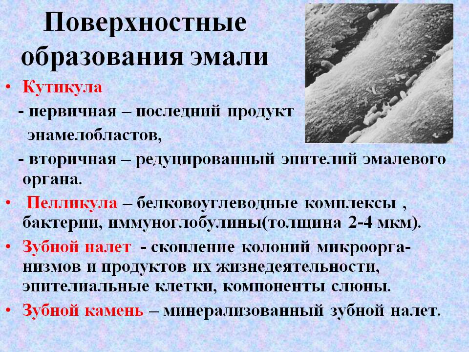 Поверхностные образования эмали