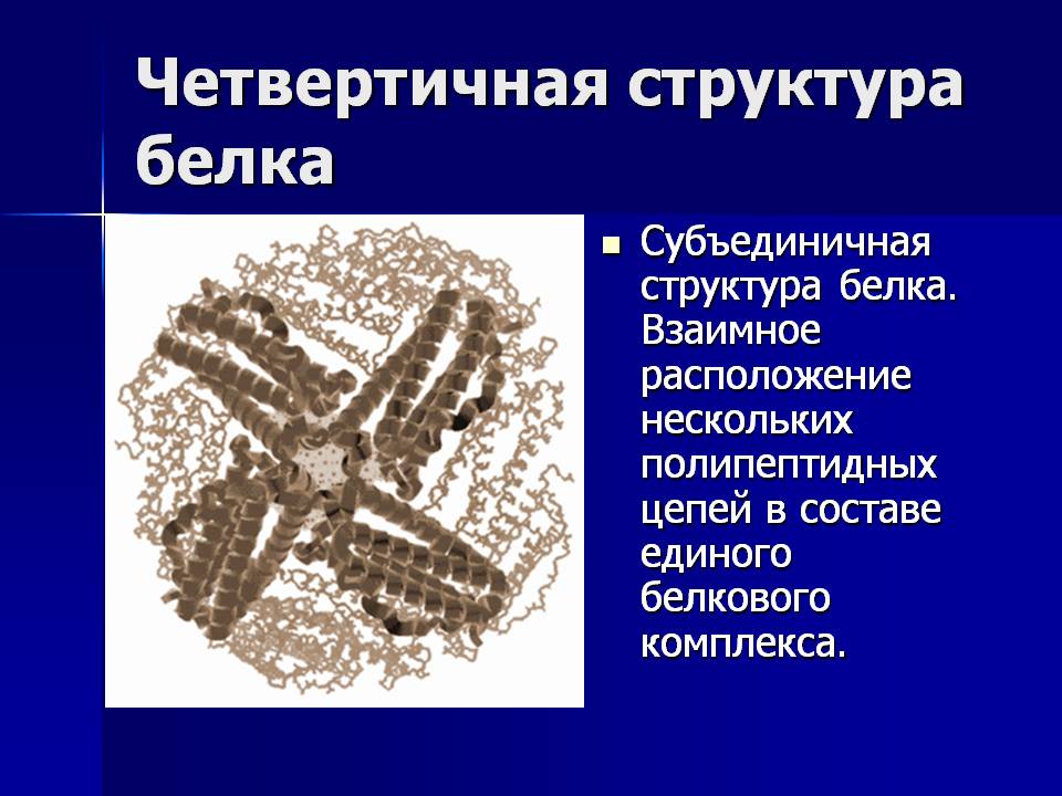 Четвертичная структура белка