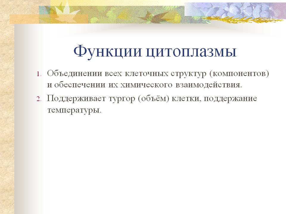 Функции цитоплазмы