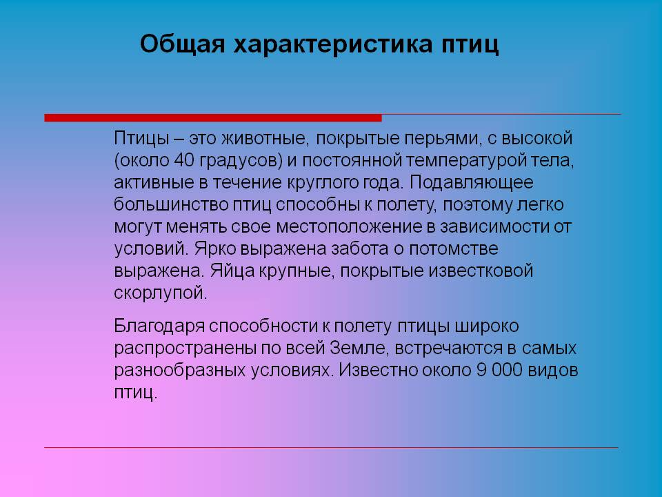 Общая характеристика птиц