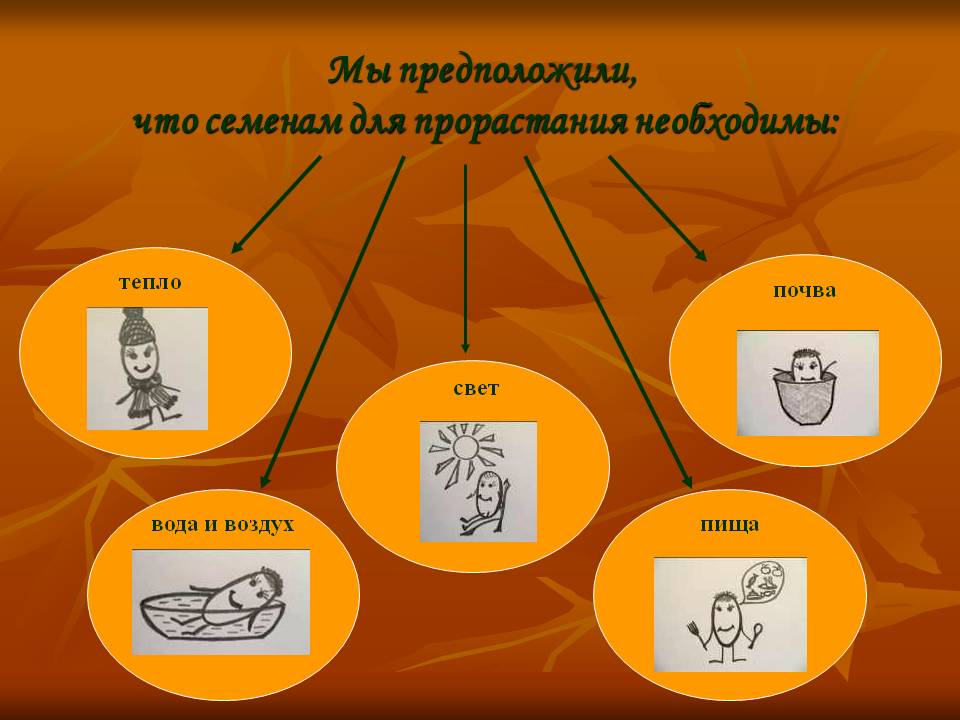 Тепло