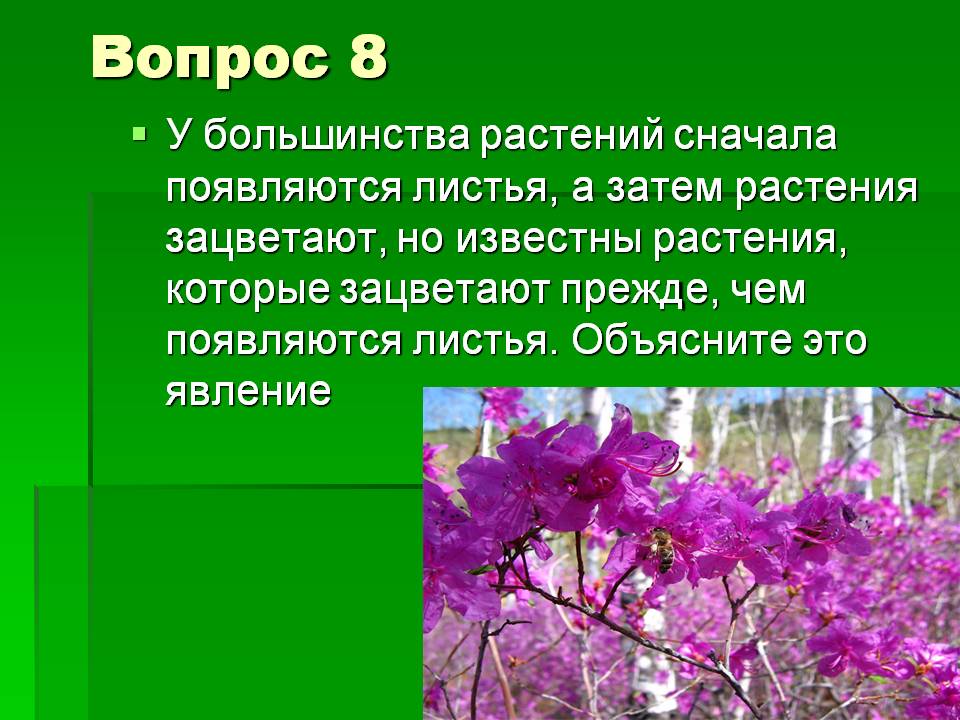 Листья