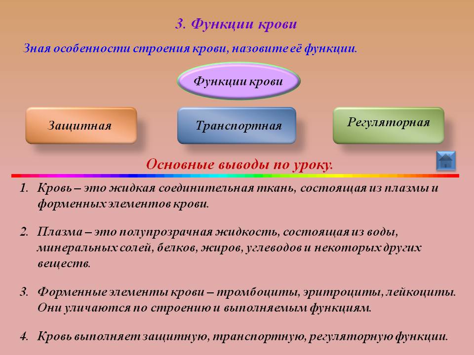 Функции крови