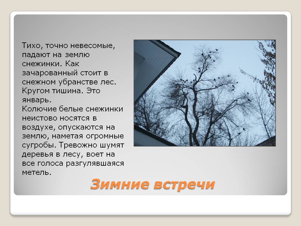 Зимние встречи