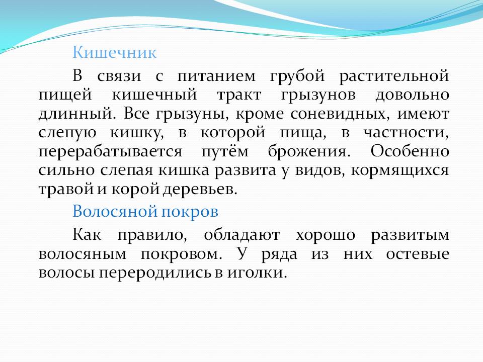 Кишечник