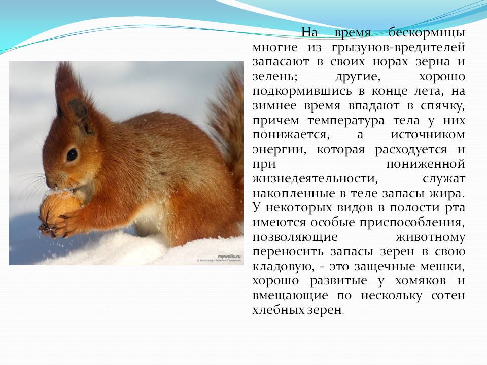 Время бескормицы