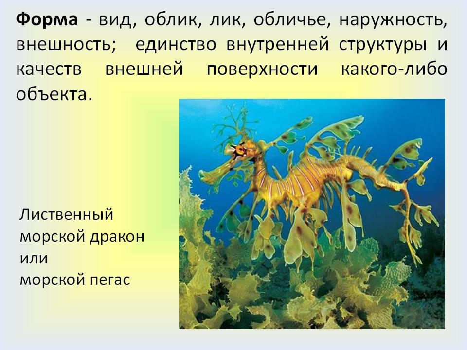 Форма