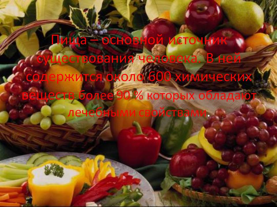 Пища – основной источник существования человека
