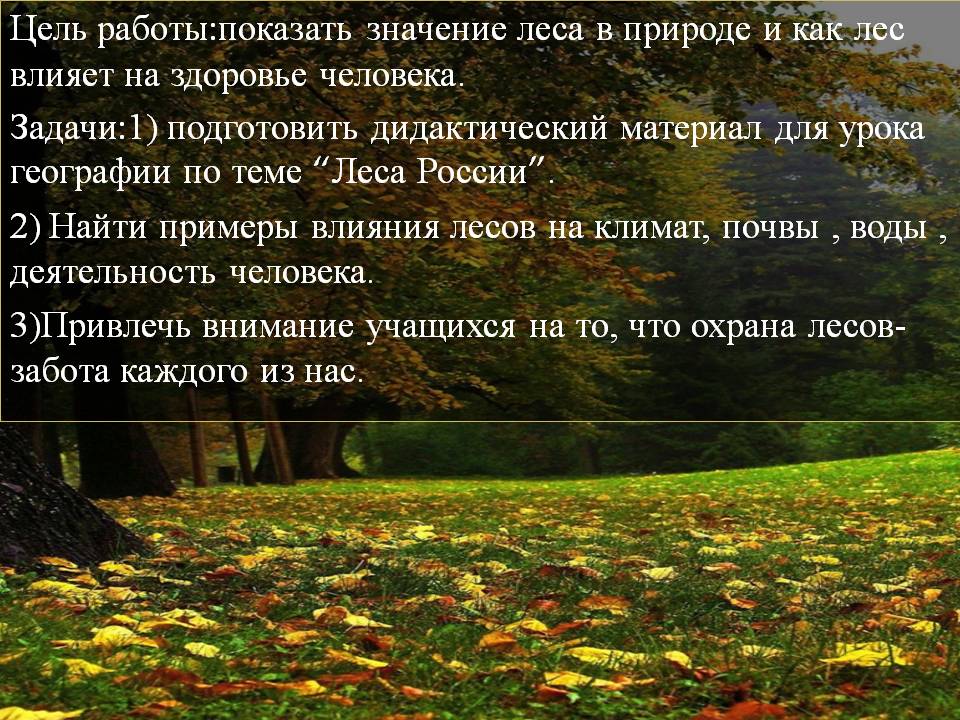 Цель работы