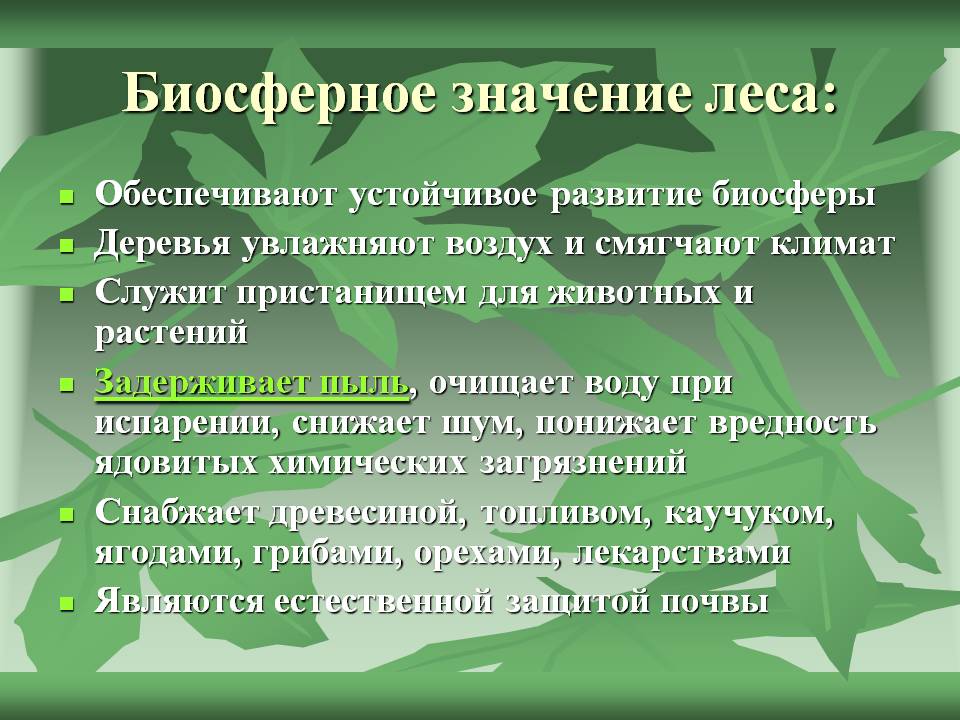 Биосферное значение леса: