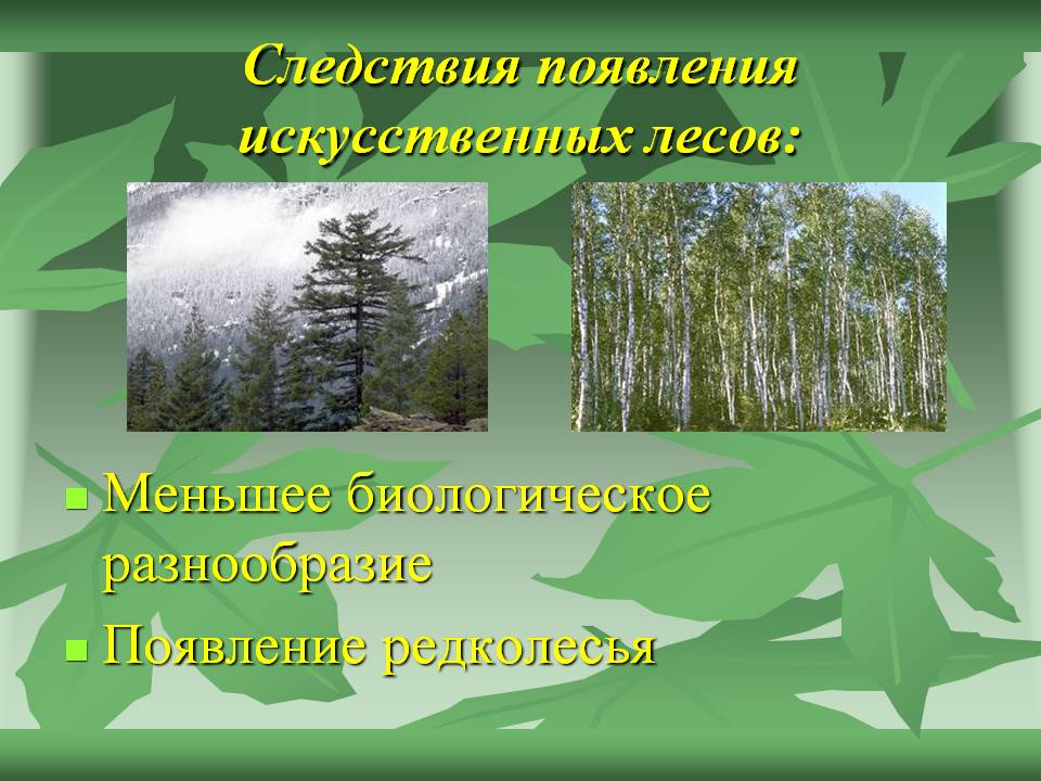 Следствия появления искусственных лесов: