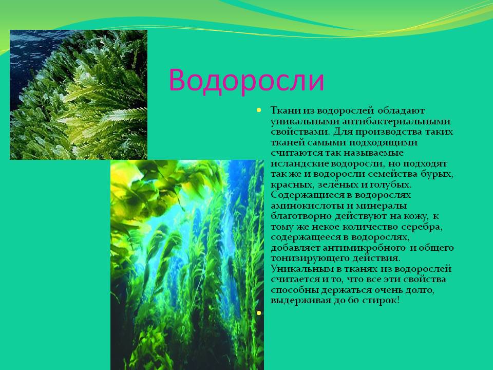 Водоросли