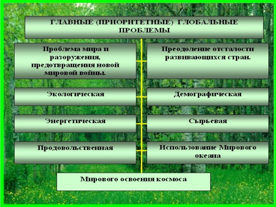 Главные проблемы
