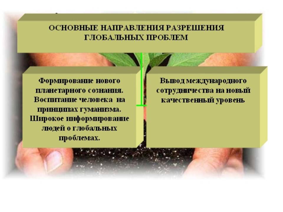Главные проблемы
