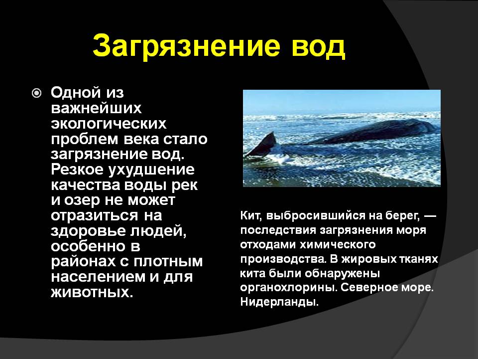 Загрязнение вод