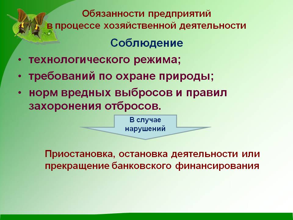 Обязанности предприятий в процессе хозяйственной деятельности