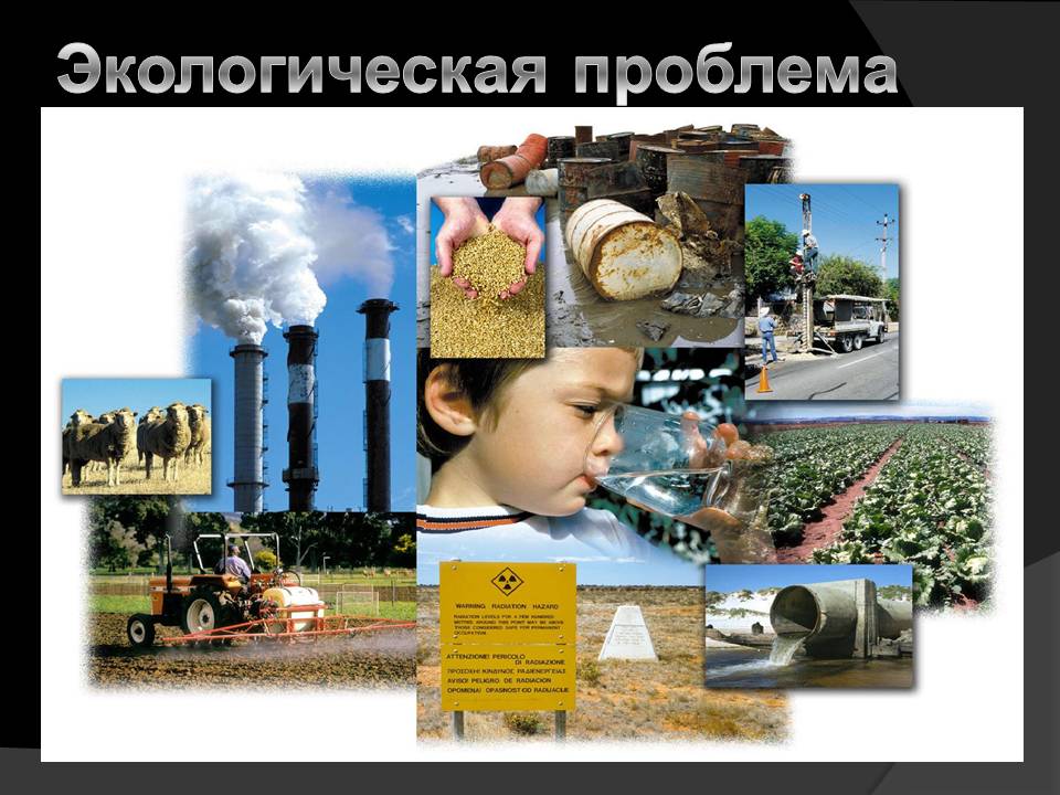 Экологическая проблема
