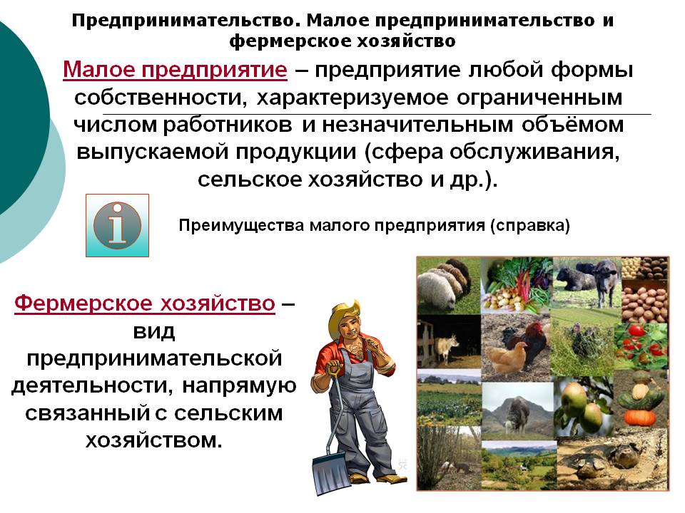 Малое предприятие Малое предприятие