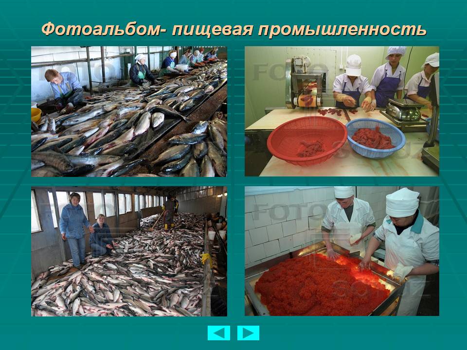 Фотоальбом- пищевая промышленность Фотоальбом- пищевая промышленность