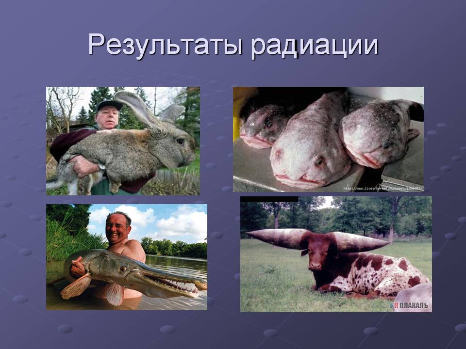 Результаты радиации