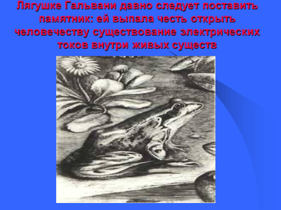 Лягушке Гальвани давно следует поставить памятник: ей выпала честь