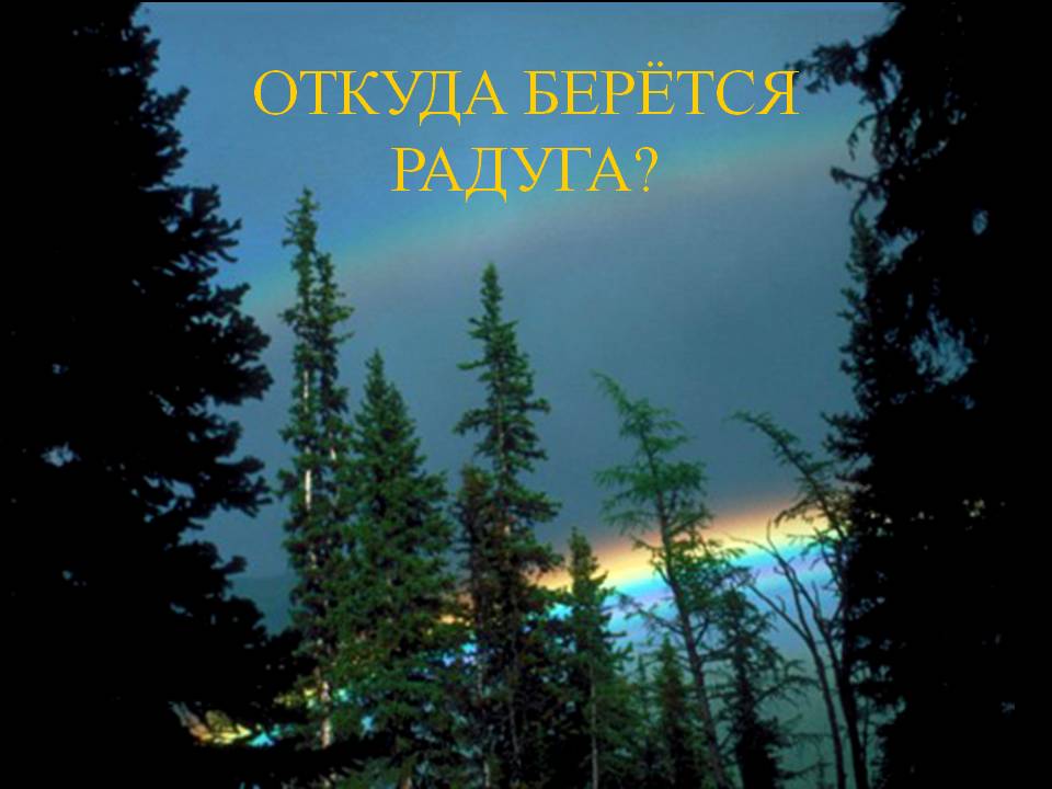 Содержание